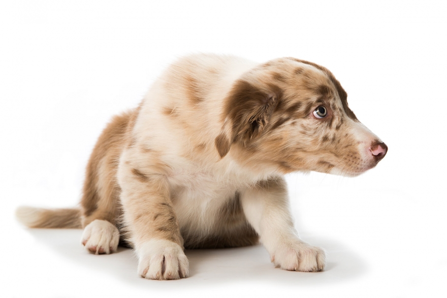 Training without Grudges